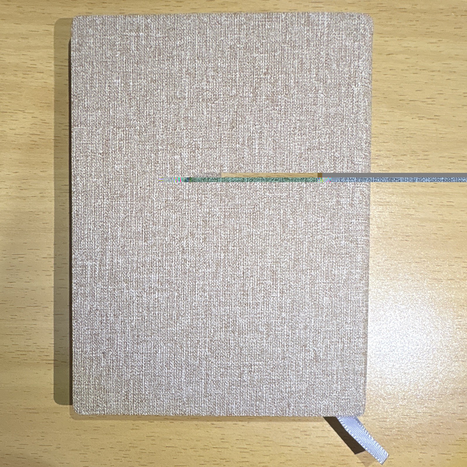 Detroit tiger Blank Journal/Notebook w/ Ribbon Bookmark