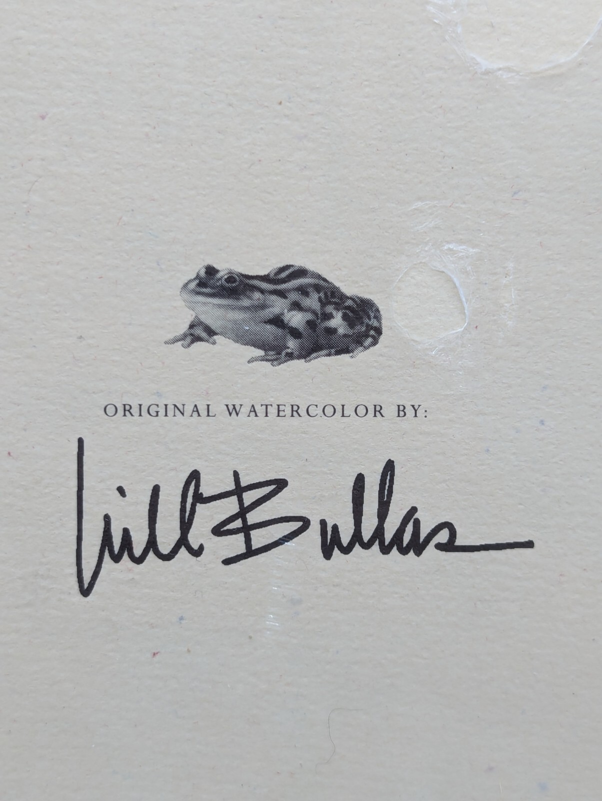 First Impressions Wine-oceros 1994 Will Bullas Blank Journal #6001 Sealed USA
