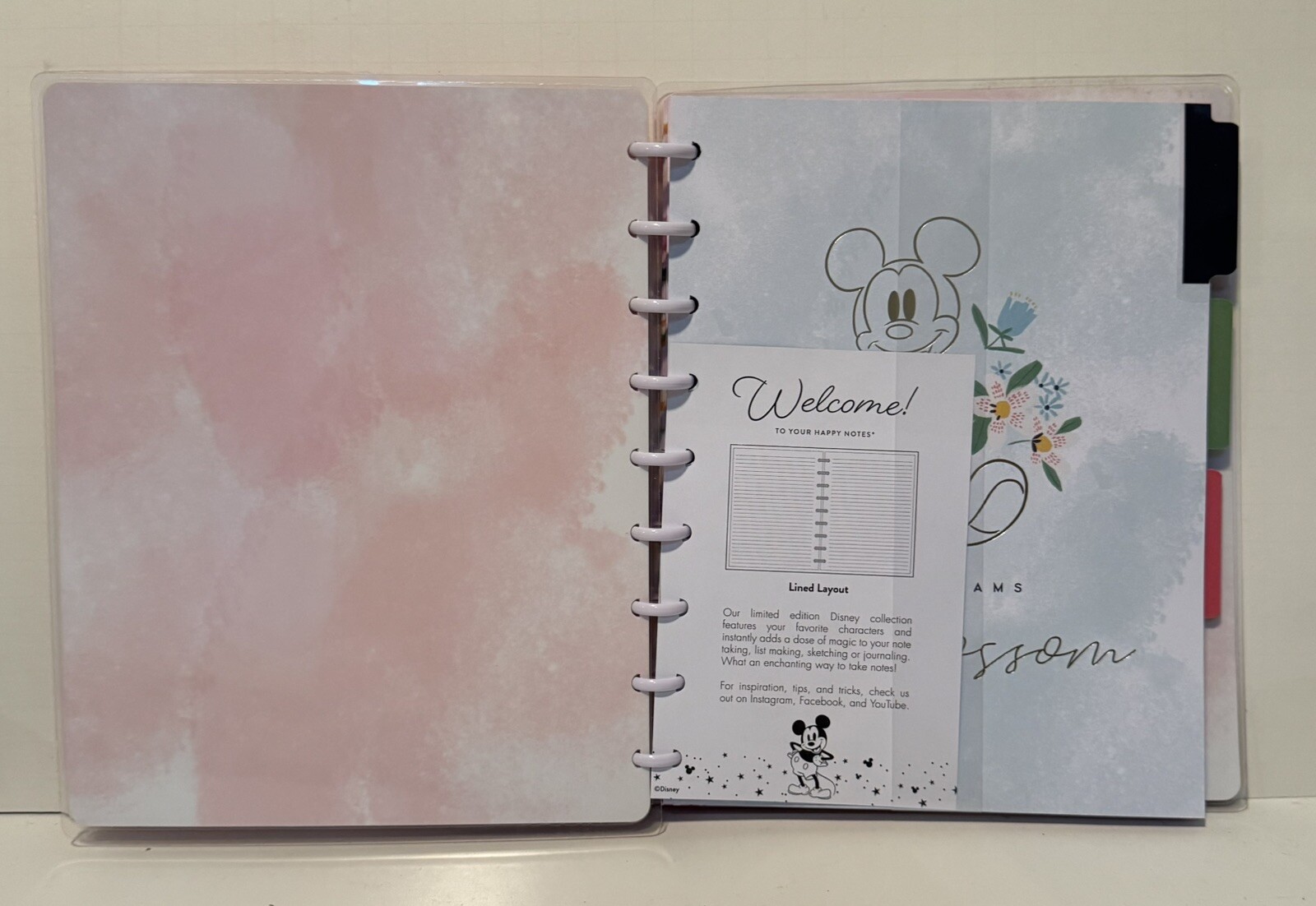 Disney Mickey Minnie Mouse The Happy Planner Classic Notebook