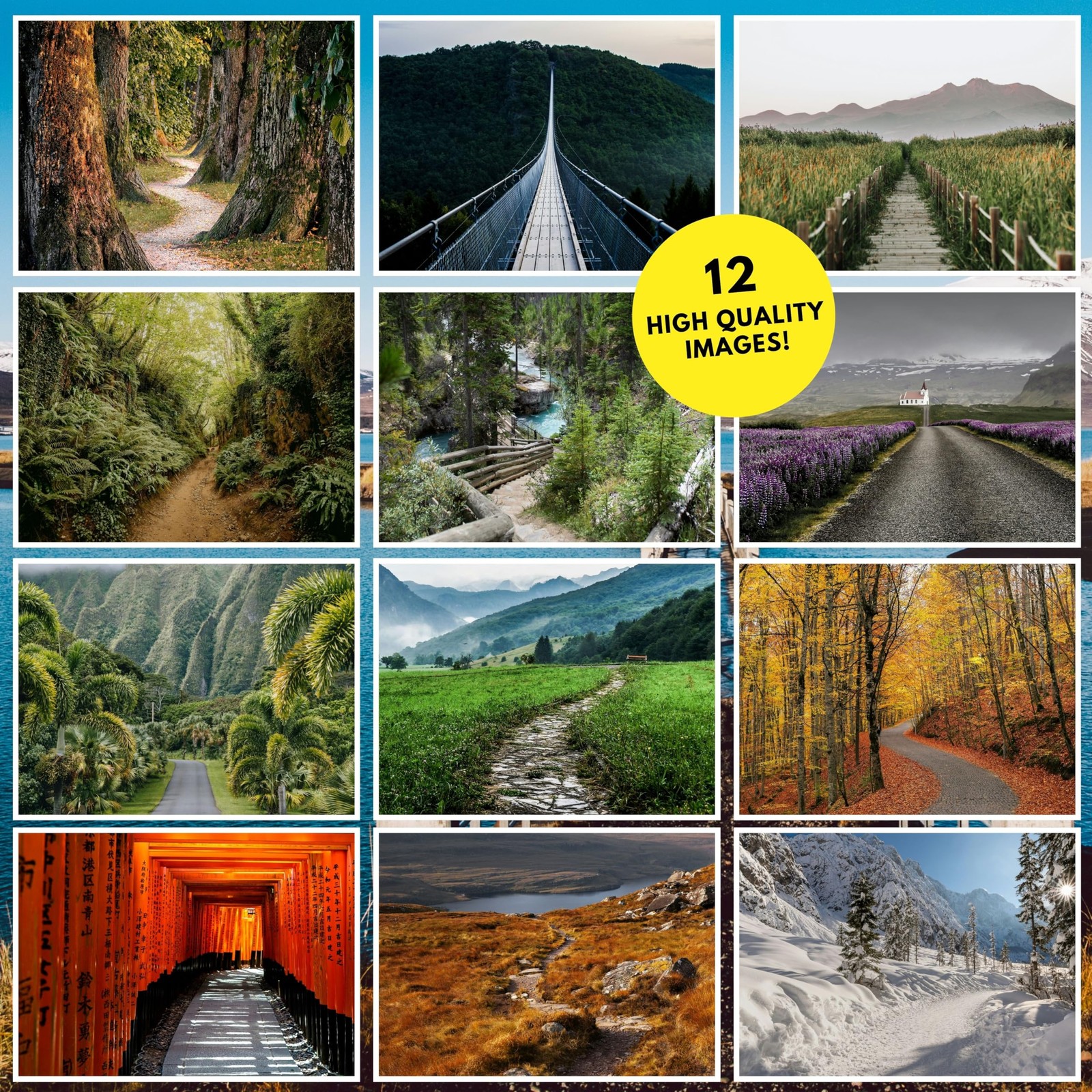 Pathways 2026 Wall Calendar | Scenic Nature Photography & Enchanted