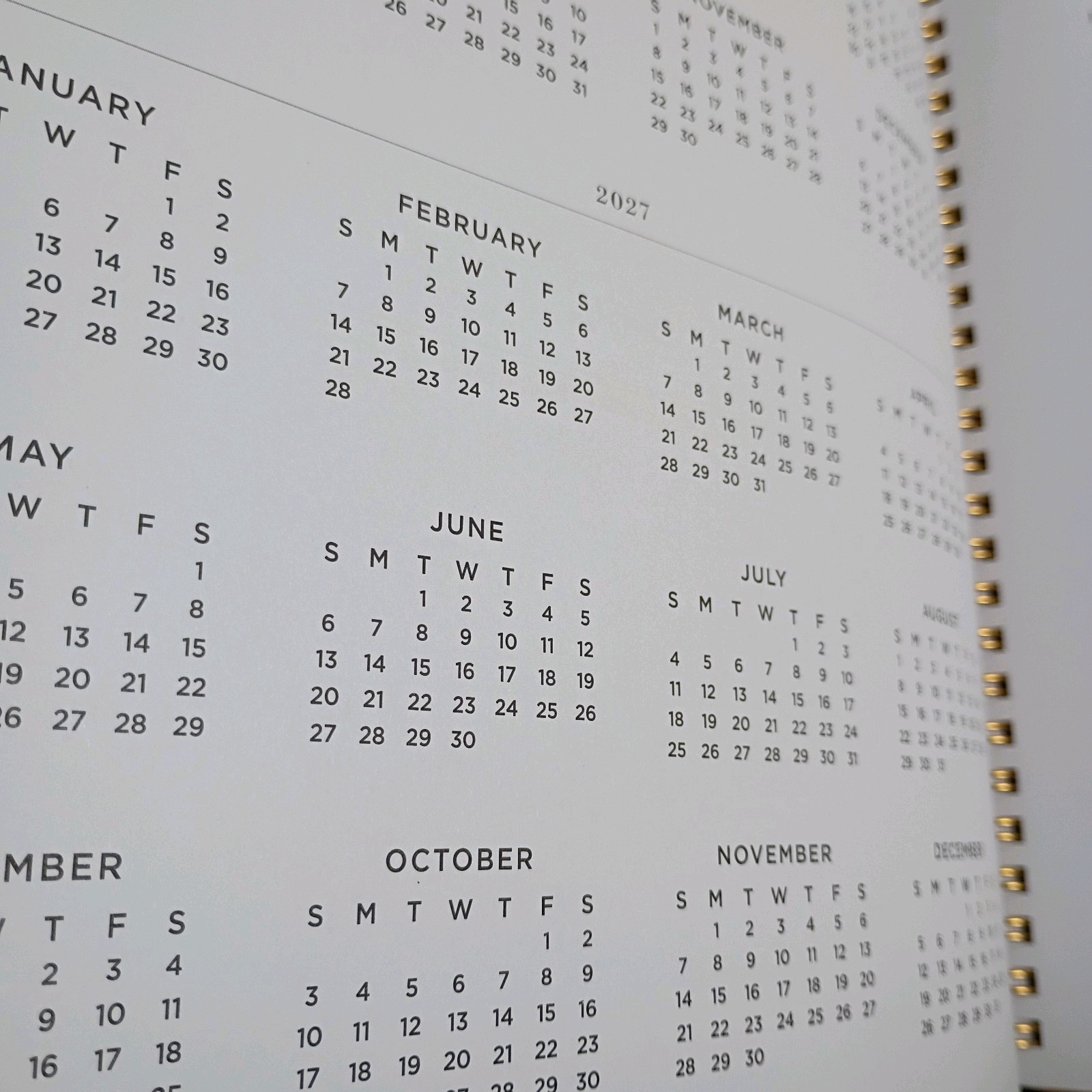 Day Disigner For Blue Sky Weekly Monthly Calendar 2026 8 1/2 x 11 In Wire-O New.