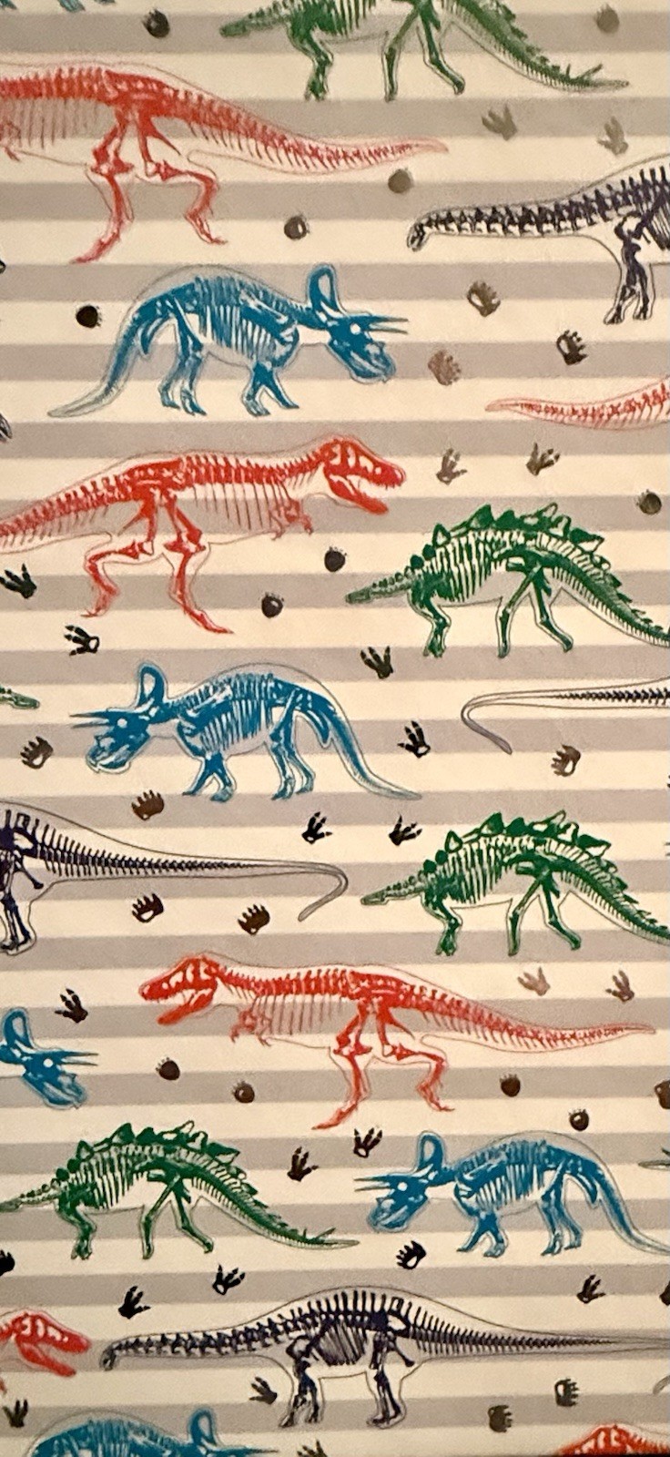 Set of 2 Spiral Journals Butterfly & Dinosaur Lined Notebooks Elastic Band New