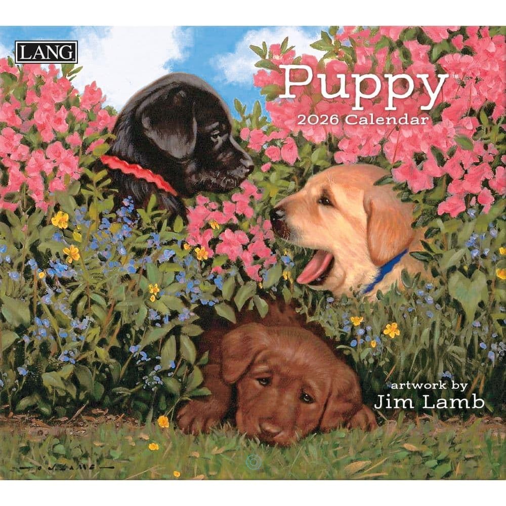 Lang, Puppy 2026 Wall Calendar by Jim Lamb, 13.4” X 12”, 12-Month 2026