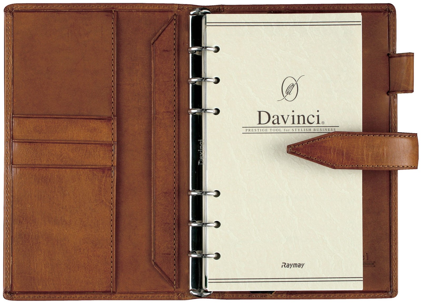 Reimei Fujii System Planner Davinci Roroma Classic Bible Green DB3011M