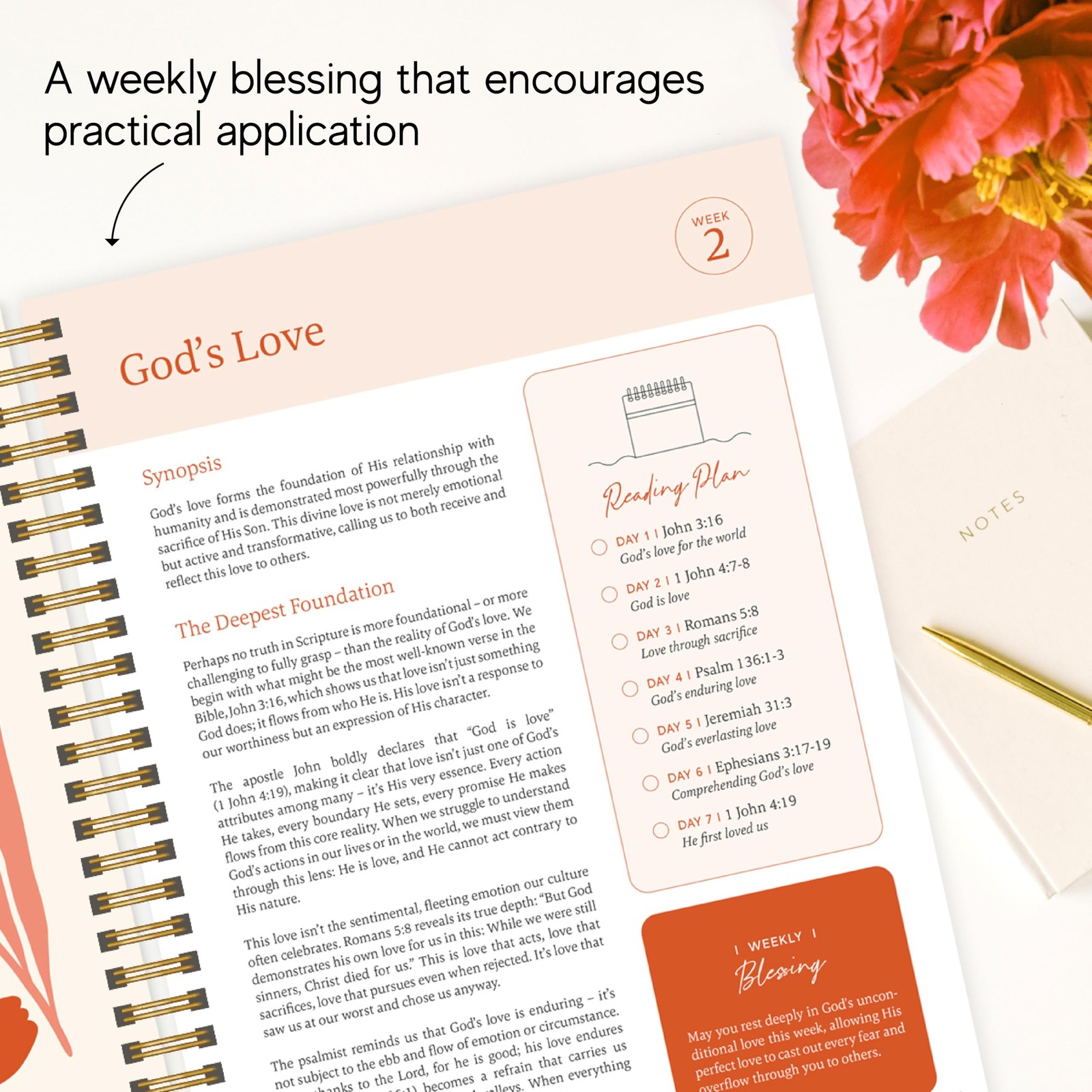 Official Spiral Bible® The Bible in a Year | 52 Week Guided 8.5 X 11, Floral