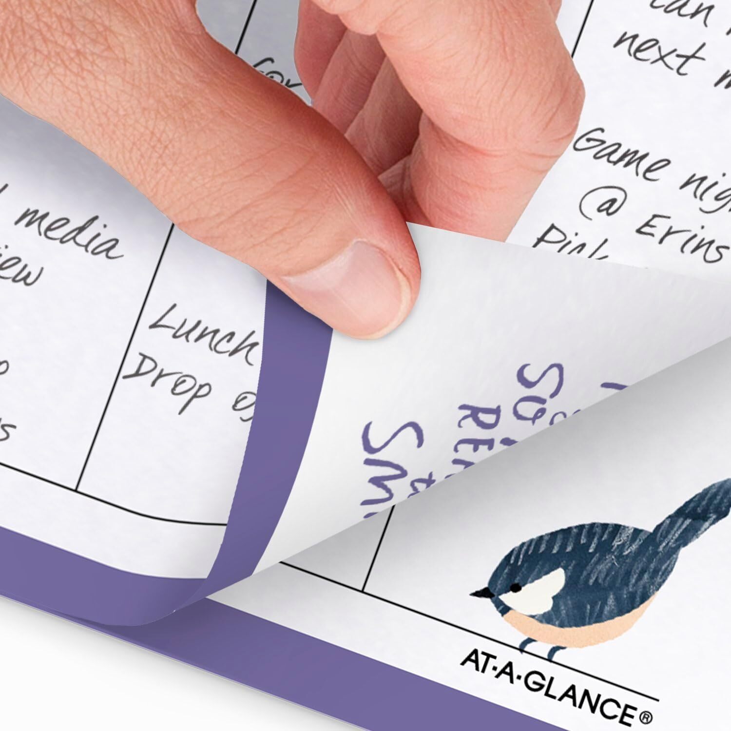 AT-A-GLANCE 2025 Planner Refill Weekly & Monthly 5-1/2″ x 8-1/2 Size 4 KD81-285Y