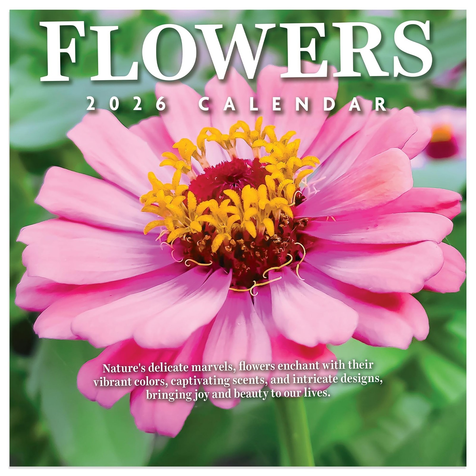 TF Publishing 2026 Flowers Mini Calendar with Monthly Grids for Appointments …