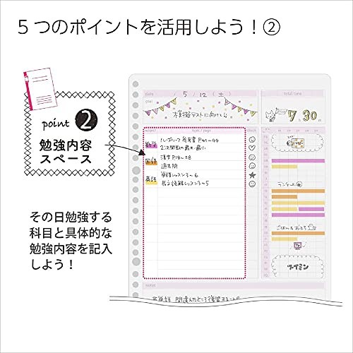 Campus Study Planner, Loose-Leaf, Daily Ruled, Girly, Set of 2
