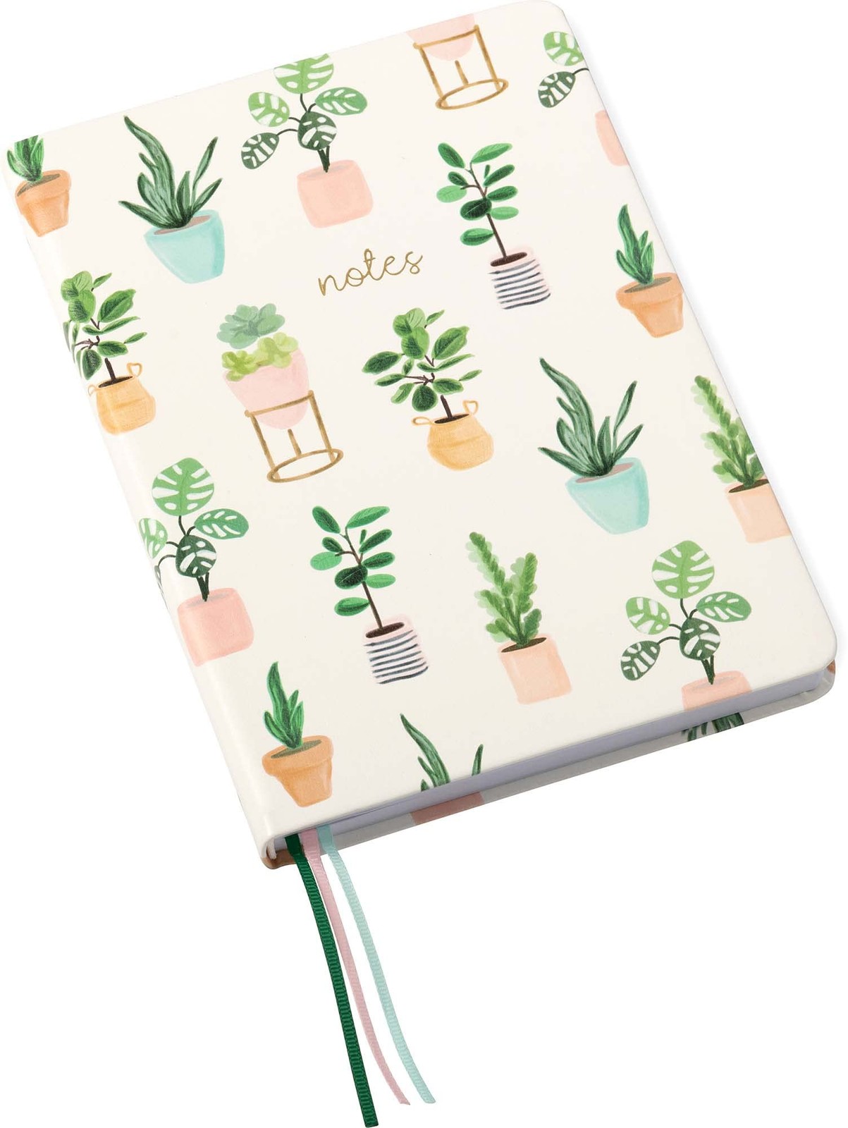 A5 Medium Succulent Notebook Flexibound Journal With 256 Pages And Ribbons