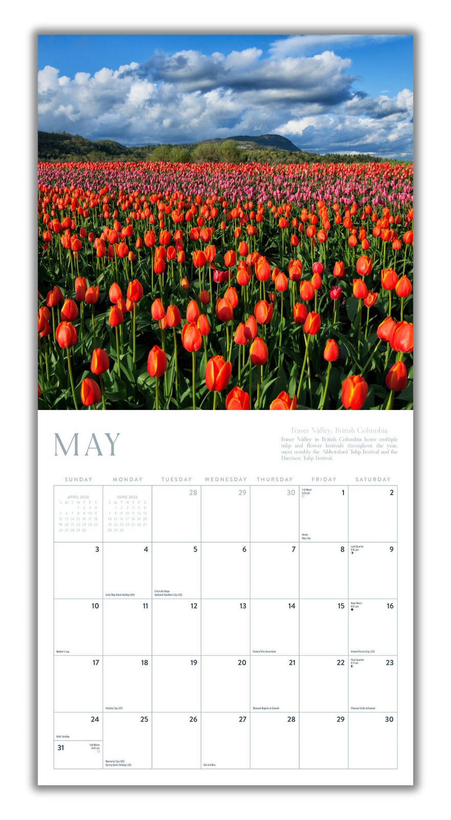 Canada Calendar 2026 | 12″ x 24″ 12 Month Calendar | Marble City Press