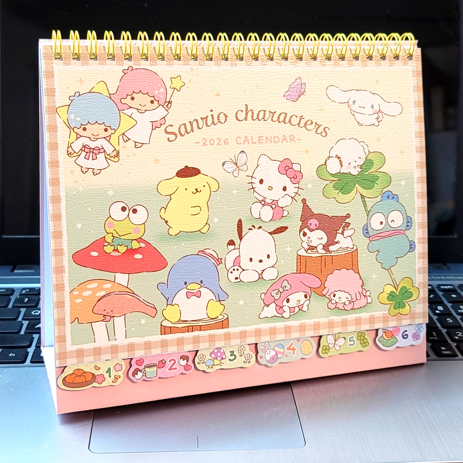 Mix Sanrio Characters 2026 Desk Calendar Monthly & Yearly Planner with Stickers