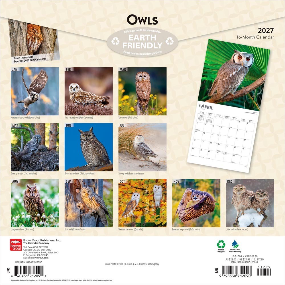 Owls | 2027 12×24″ (Hanging) Monthly Square Wall Calendar | Plastic-Free