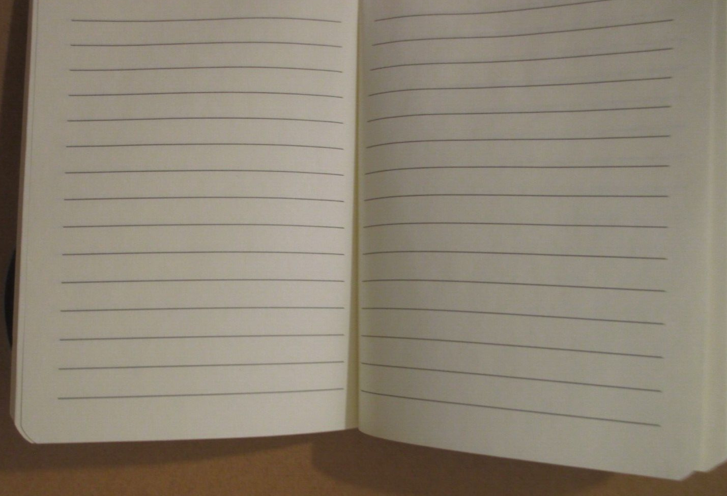 2025 Jan – Dec Weekly & Monthly NOTEs To DO 10X8″ PLANNER – PINK FLOWERs ECCOLO