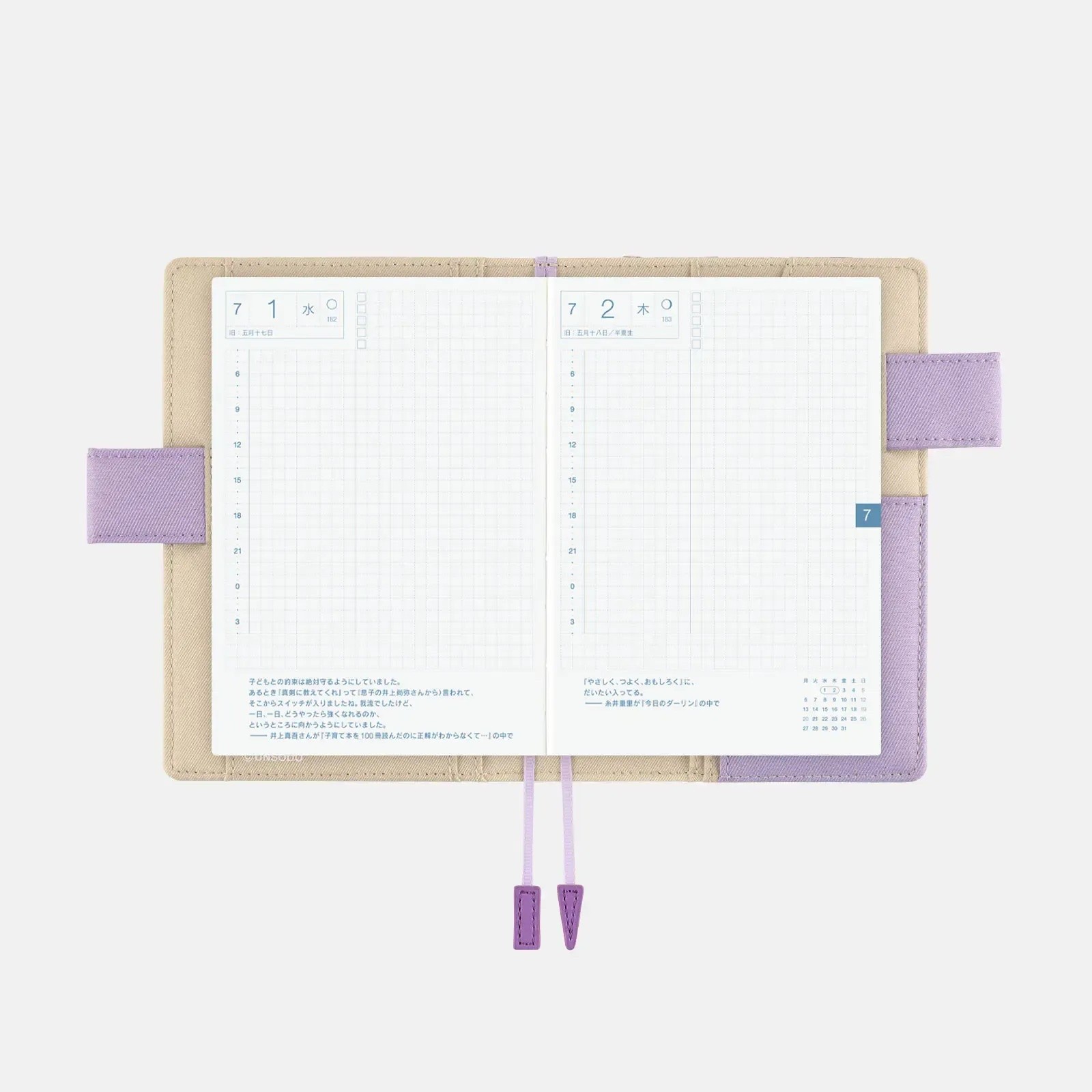 Hobonichi Techo Original A6 Cover Unsodo Bijutsukai Plum & Dianthus