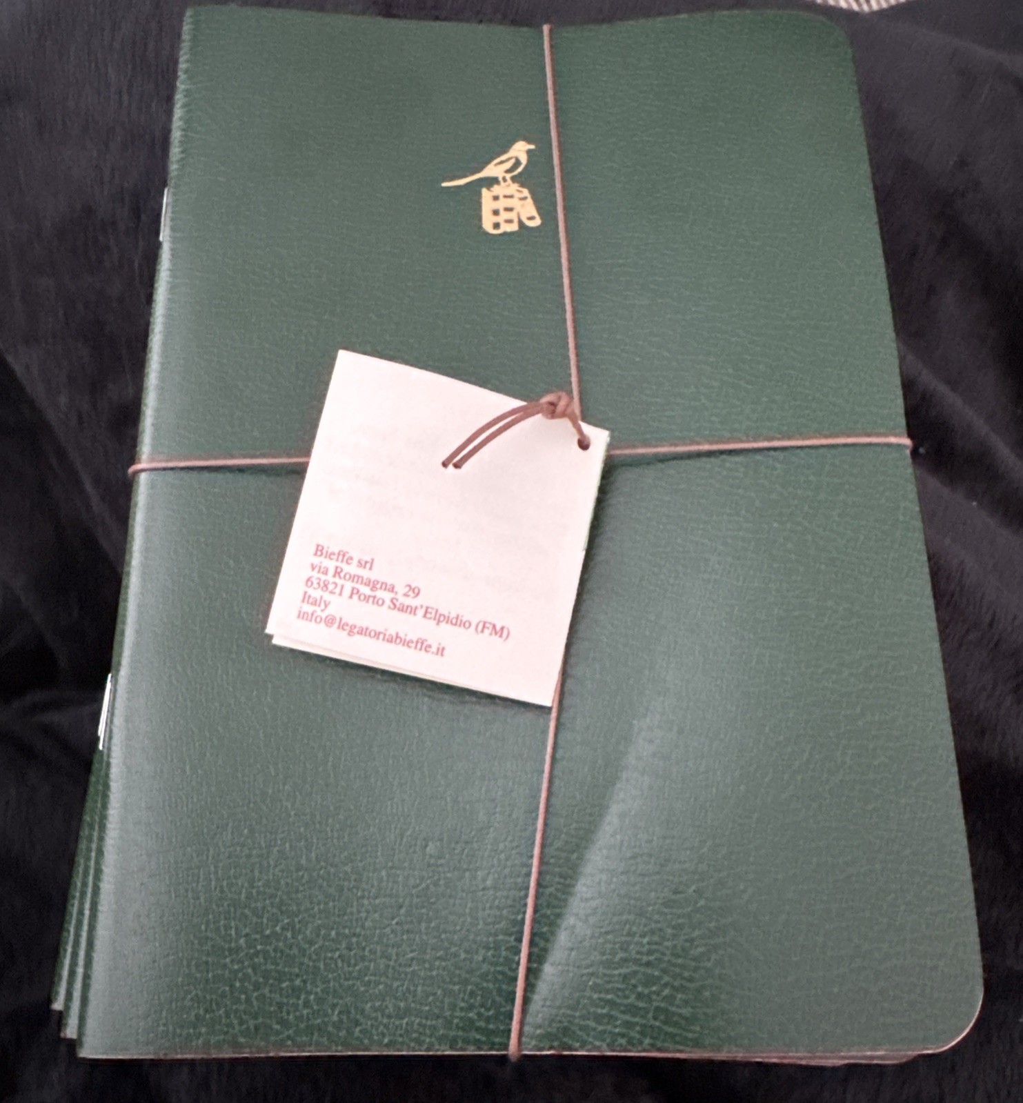 Bieffe Handmade Journal Notebook Made in ITALY 6 Pack Green Leather