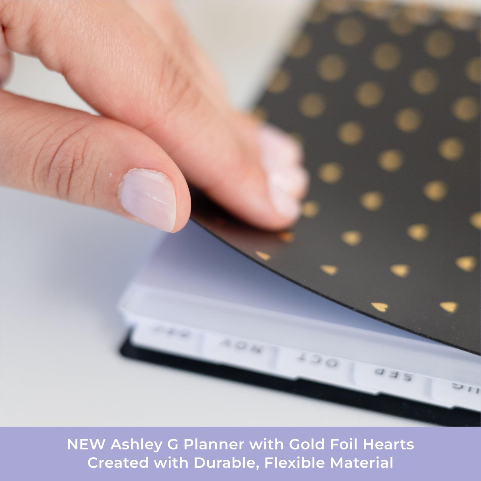 Ashley G 2026 Weekly and Monthly Planner Calendar, January 2026 – December 20…