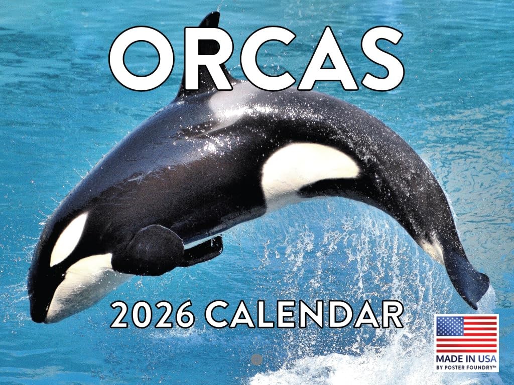 Orca Calendar 2026 Killer Whale Monthly Wall Calender 12 Month | Orcas