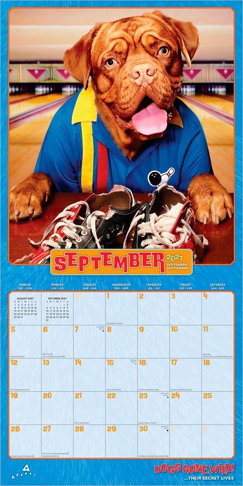 Avanti Dogs Gone Wild OFFICIAL | 2027 12×24″ (Hanging) Square Wall Calendar