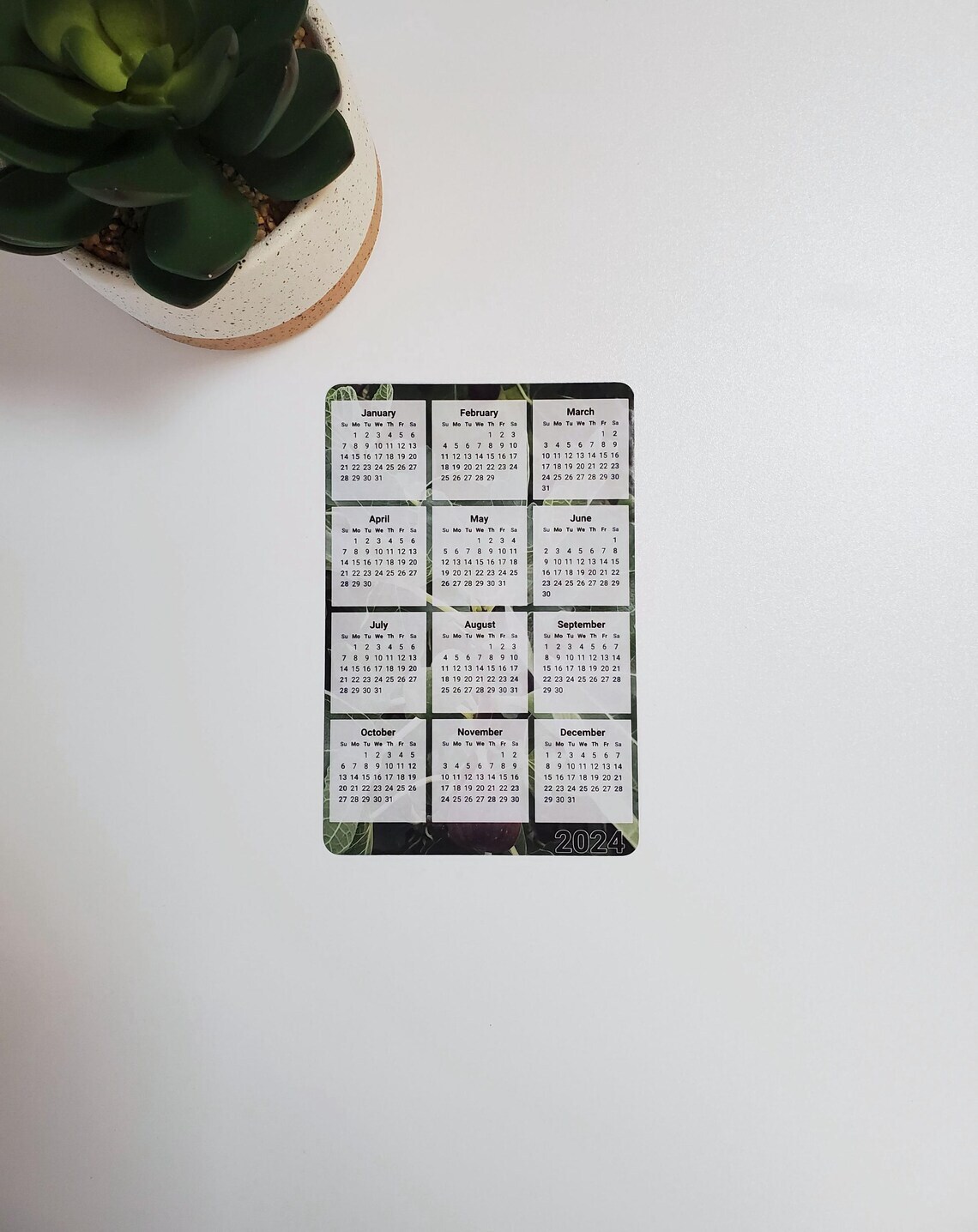 Fig Tree Photo Calendar Magnet 4″ x 6″ | Start On Any Month | Magnet Calendar