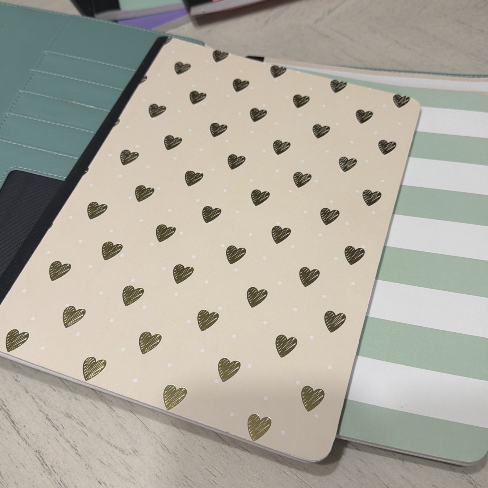 Webster’s Pages Composition Planner Cover Portfolio Green Mint Set Mystery Rare