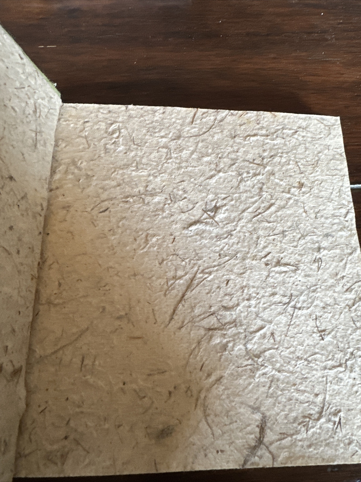 Elephant PooPoo Paper Park Journal 6.75” x 6.75 Handmade Recycle Organic Read