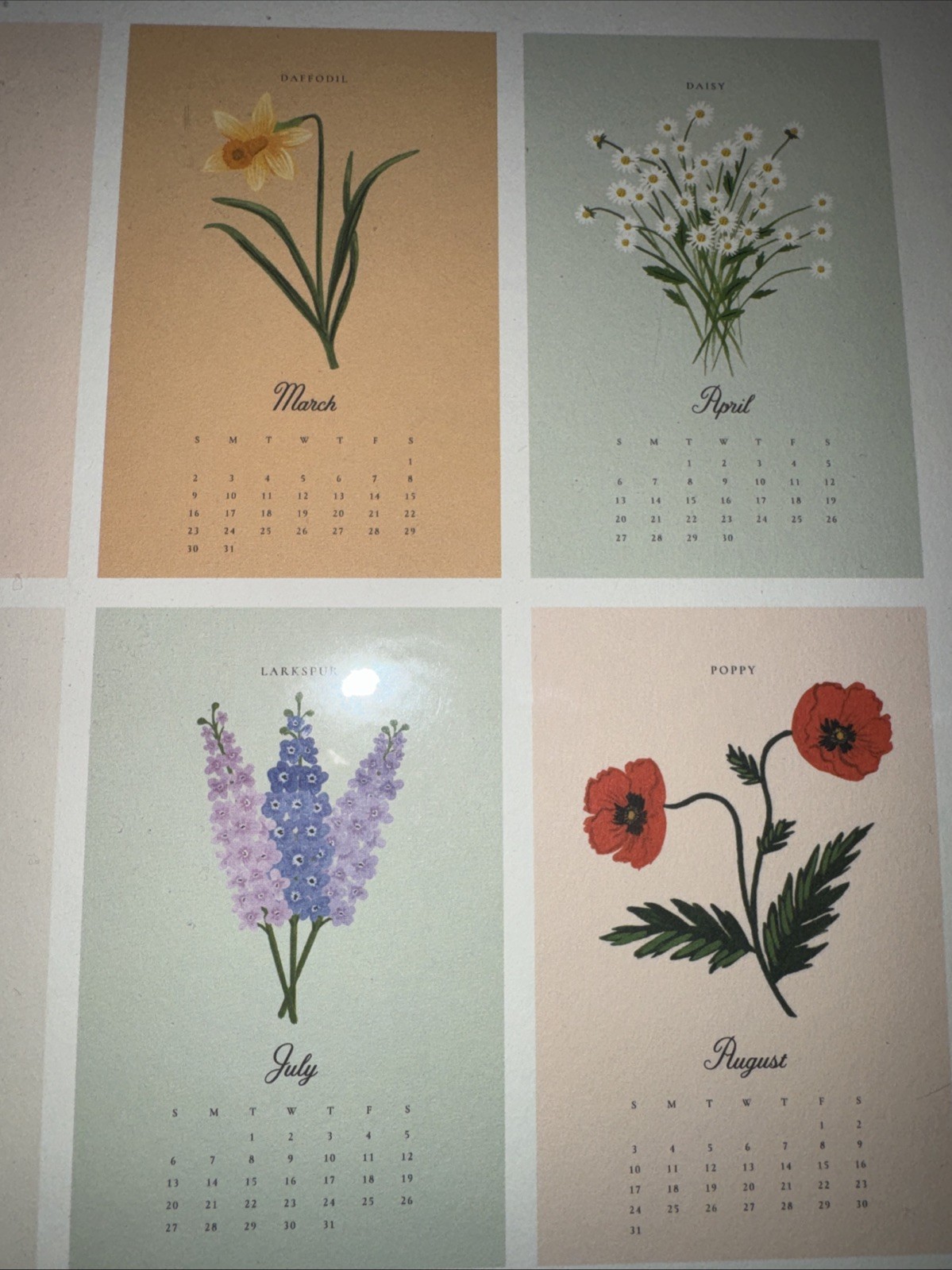 NEW Rifle Paper Co Calendar 2025 Say It Flowers Large Wall Calendar For Framing