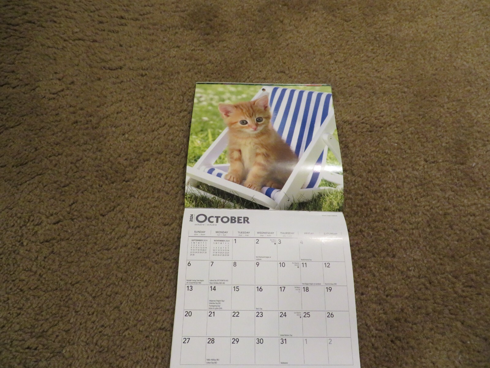 Brown Trout Love of Kittens Mini Wall Calendar 7″ x 7″ Good Cond.