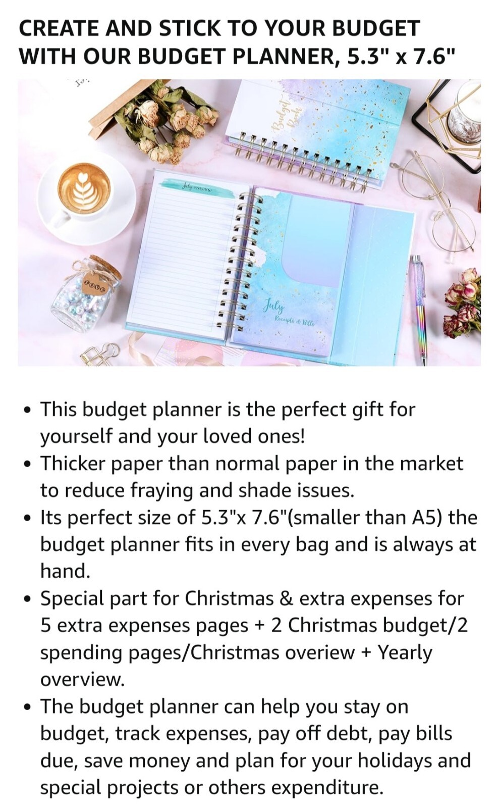 Budget Planner~12 Month Undated Budget Book~Expense Tracker~5.3″x7.6″ Pink/Blue