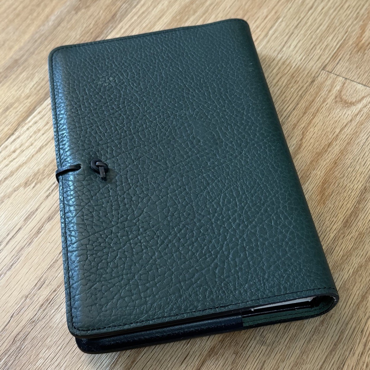 Oberon Design 6” x 9” Green Celtic ‘Thistle’ Leather Journal Cover & Insert READ