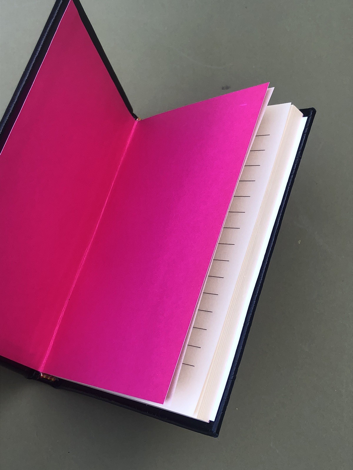 Shanghai Tang Leather Notebook/Journal Embossed Dragon Open Box
