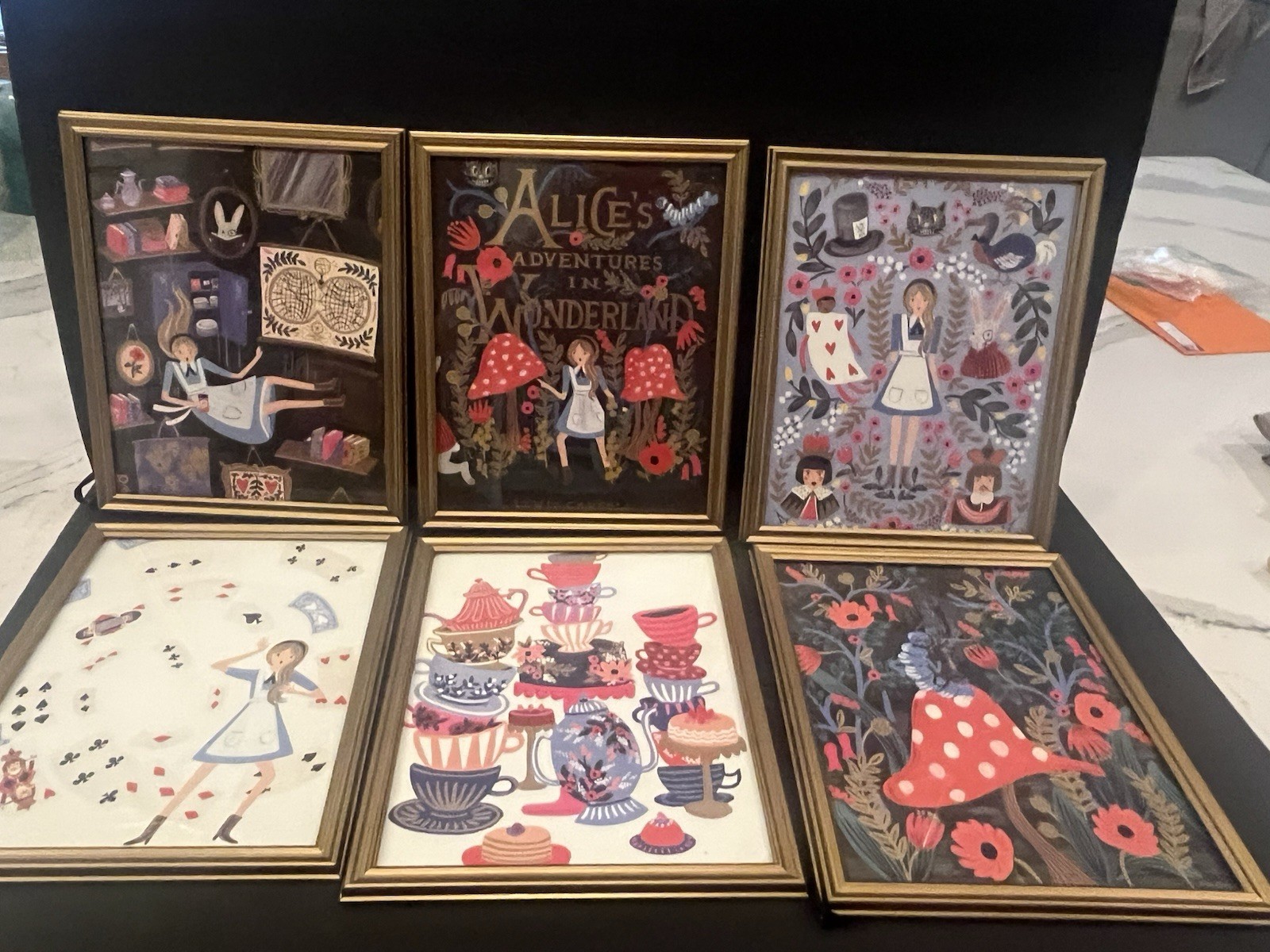 Rifle Paper Co Alice’s Adventures In Wonderland 2016 (6) 11” X 9” Framed Prints