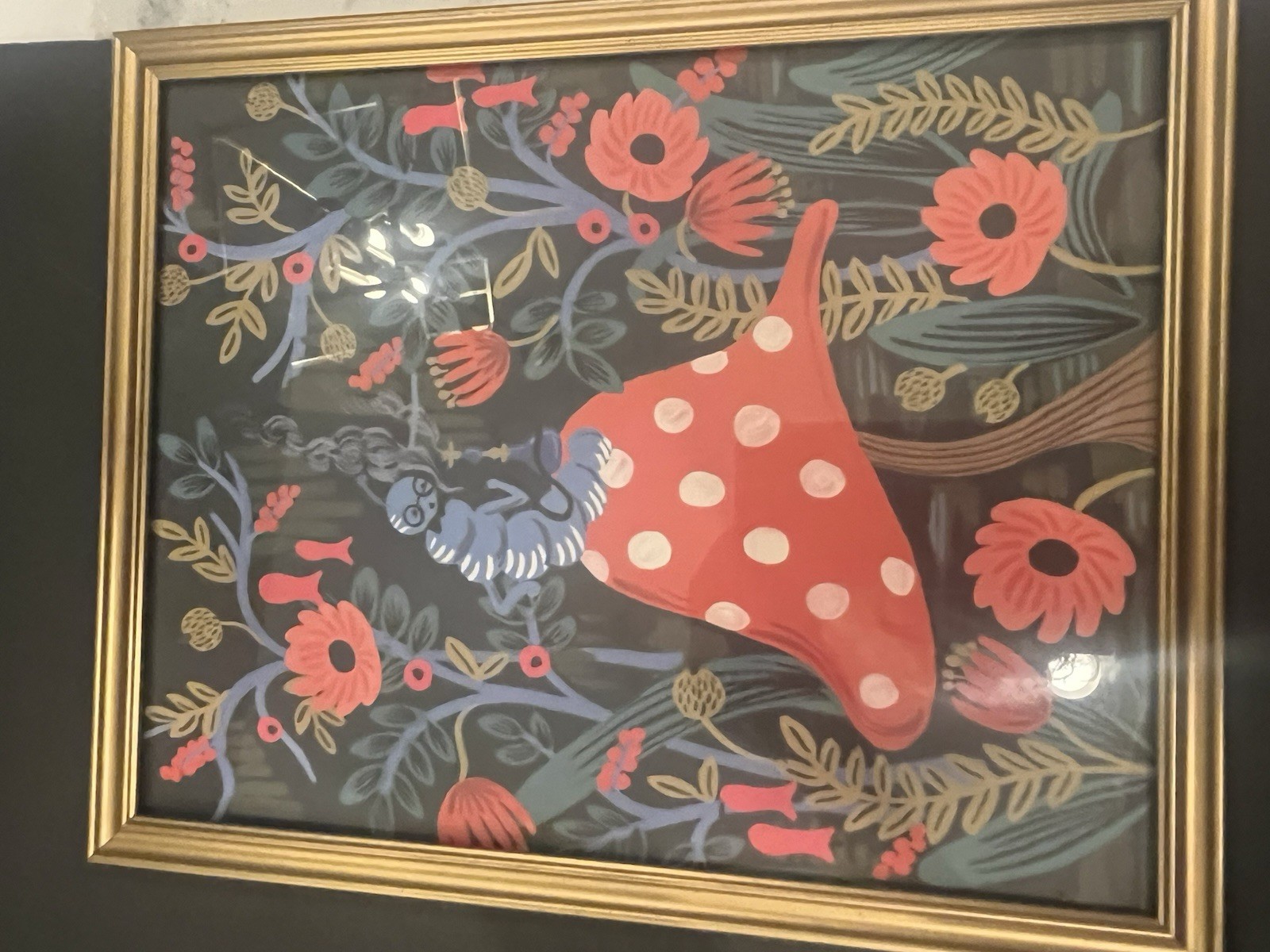 Rifle Paper Co Alice’s Adventures In Wonderland 2016 (6) 11” X 9” Framed Prints