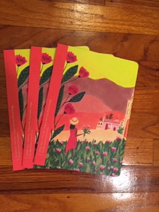 3 Each Compendium Softcover Notebook Climb trees. Run fast. 80 Lined Pages New