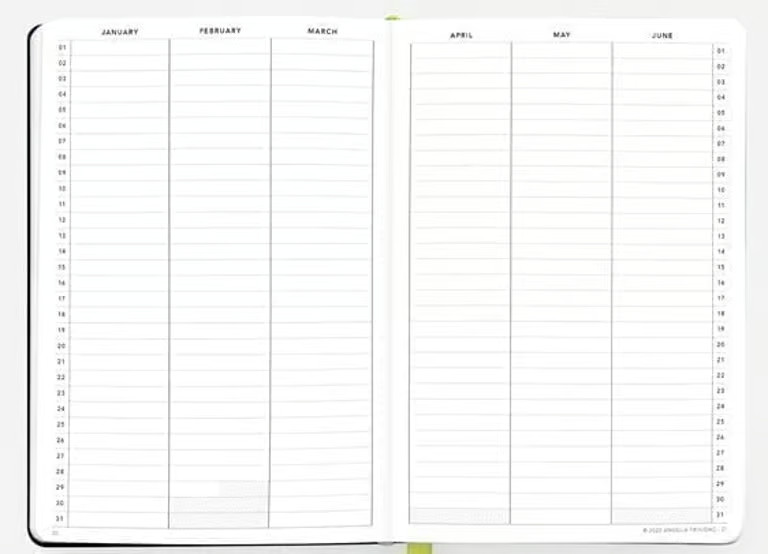 Passion Planner Daily Cosmic Blue 93 Days – UNDATED & NEW + The Career Game Loop