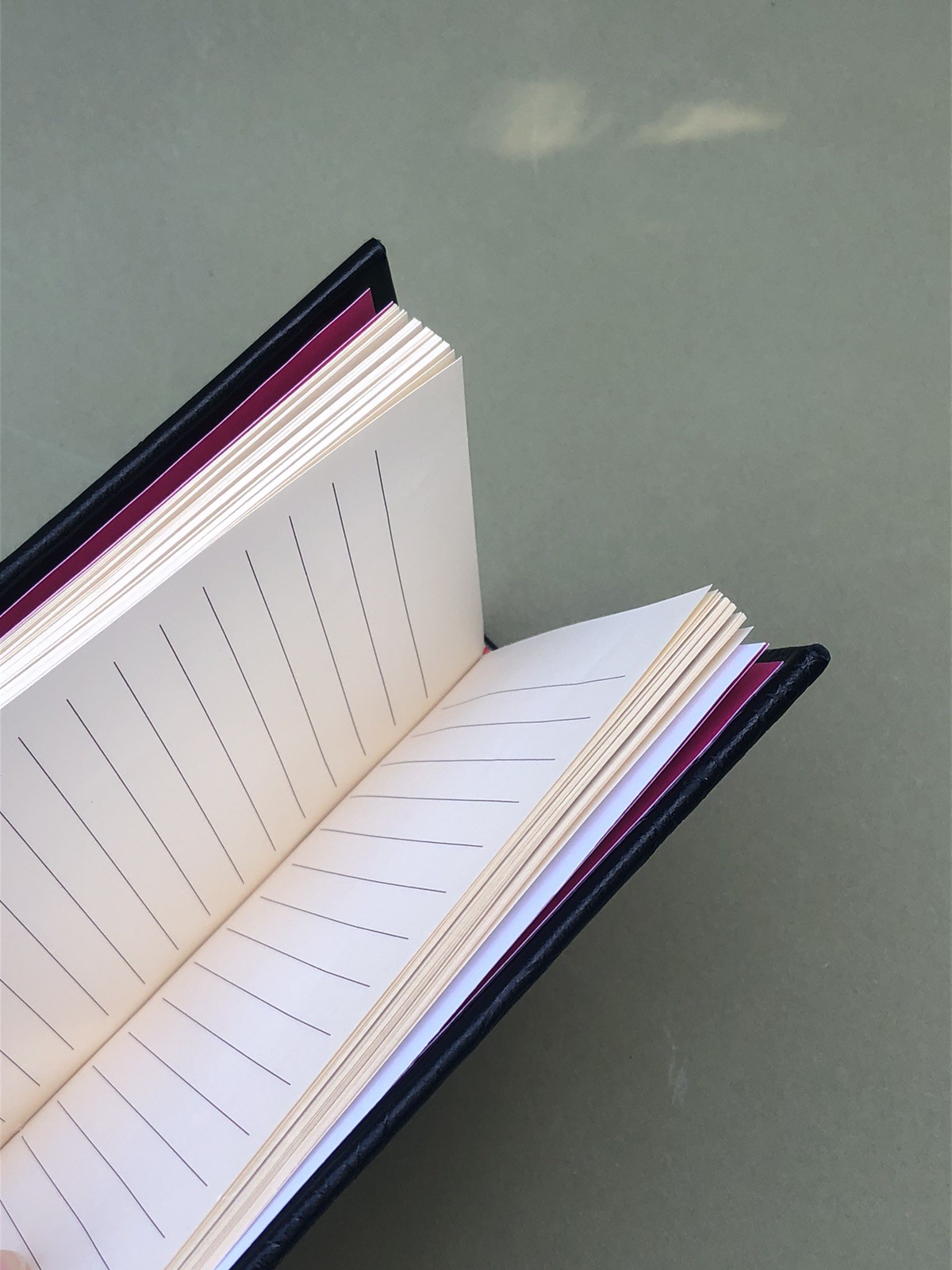 Shanghai Tang Leather Notebook/Journal Embossed Dragon Open Box