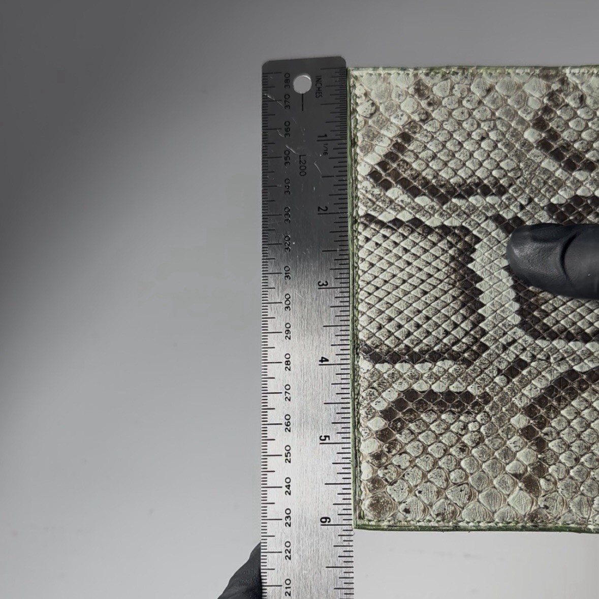 Burmese python a6 notebook coverwallet