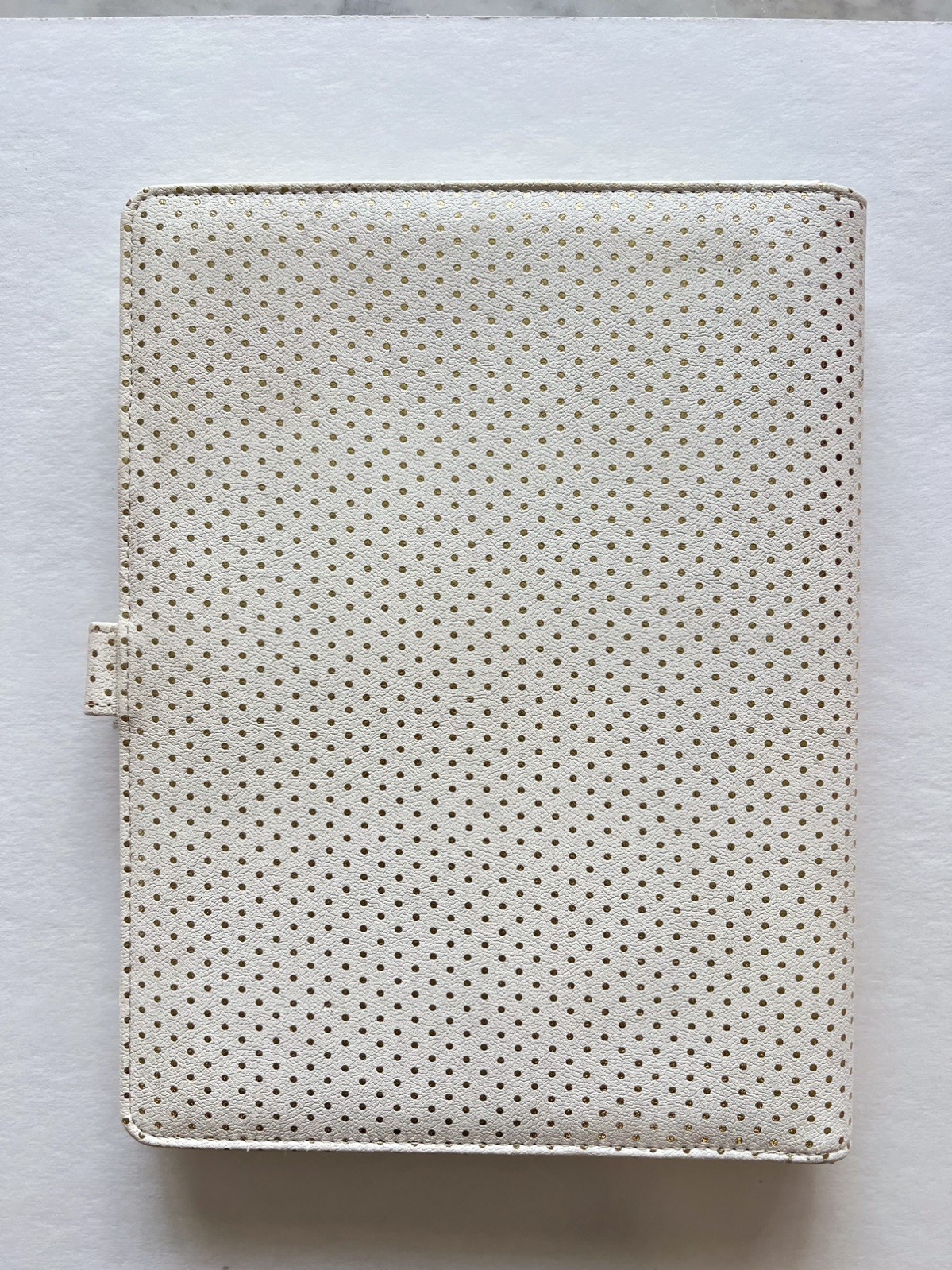 Webster’s Pages Gold Polka Dot Crush A4 Faux Leather Composition Planner 8″X10″