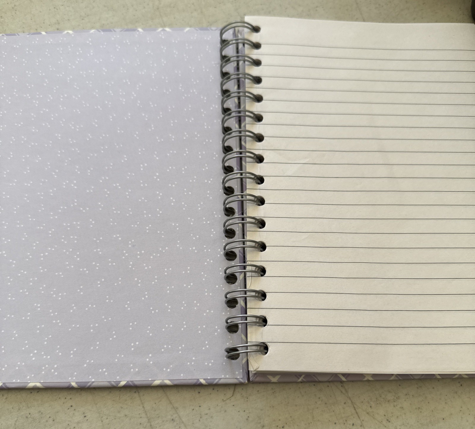 Two Blank Journals Frogs Lilacs Flowers Amphibians Colorful Purple 2 Books