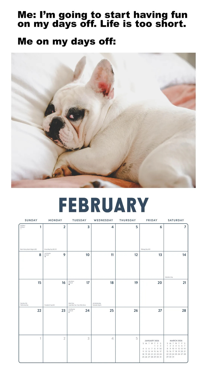 That Meme Life Calendar 2026 | 12″ x 24″ 12 Month Calendar | Marble City Press