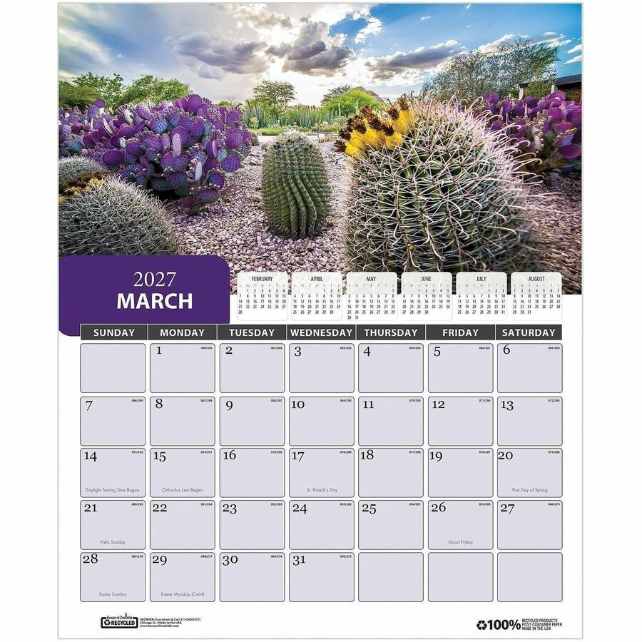 House of Doolittle Recycled Succulent & Cacti Wall Calendar (hod-317) (hod317)