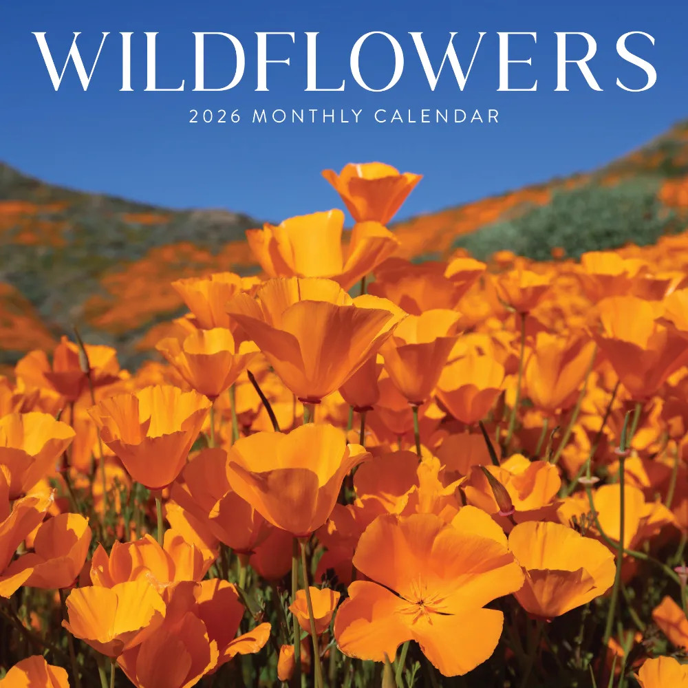Wildflowers Calendar 2026 | 12″ x 24″ 12 Month Calendar | Marble City Press
