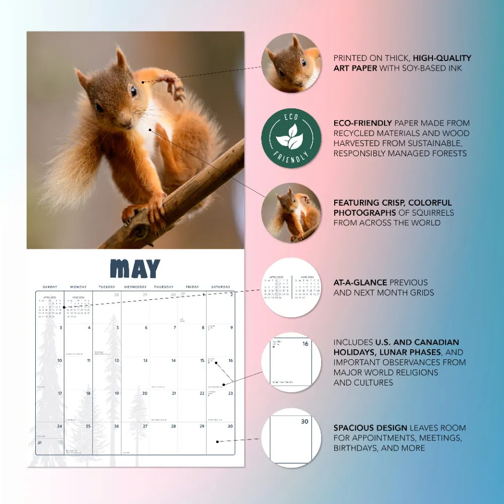 Squirrels Calendar 2026 | 12″ x 24″ 12 Month Calendar | Marble City Press
