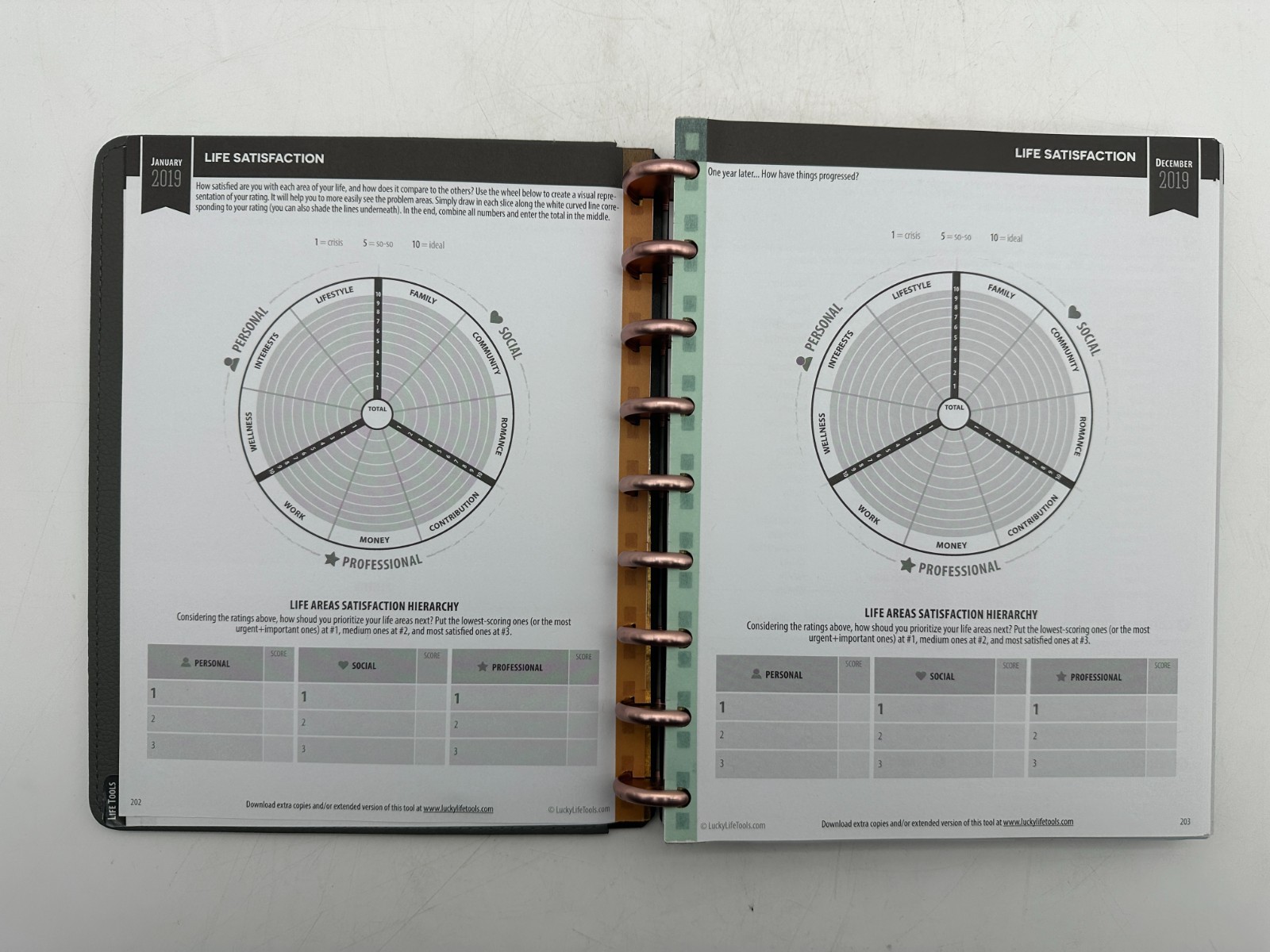 Inkwell Press Disc Bound Planner Grey Vegan Leather Cover Rose Gold Discs