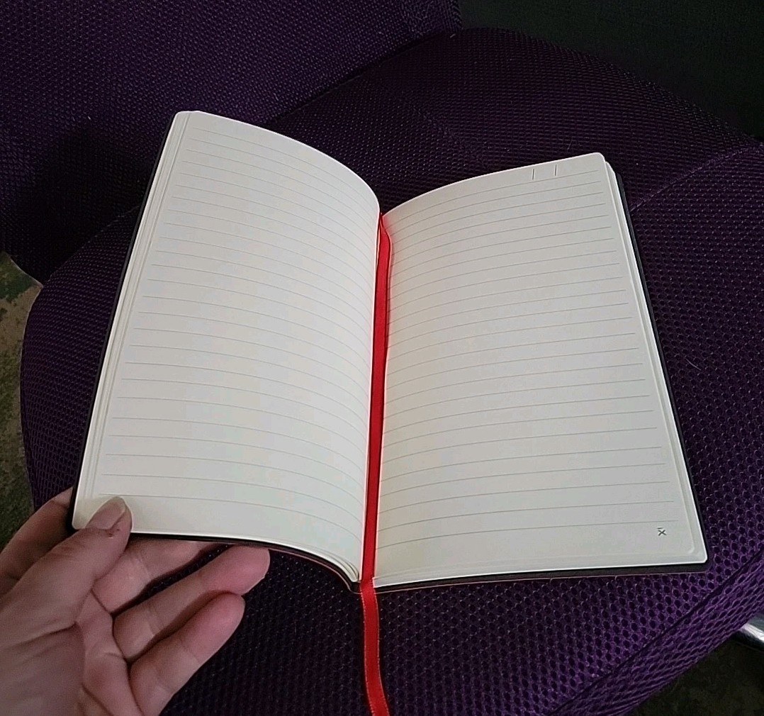 Red Leather Journal Takeda Logo Blank Lined Notebook 8.25″ x 5.37″ FREE SHIPPING