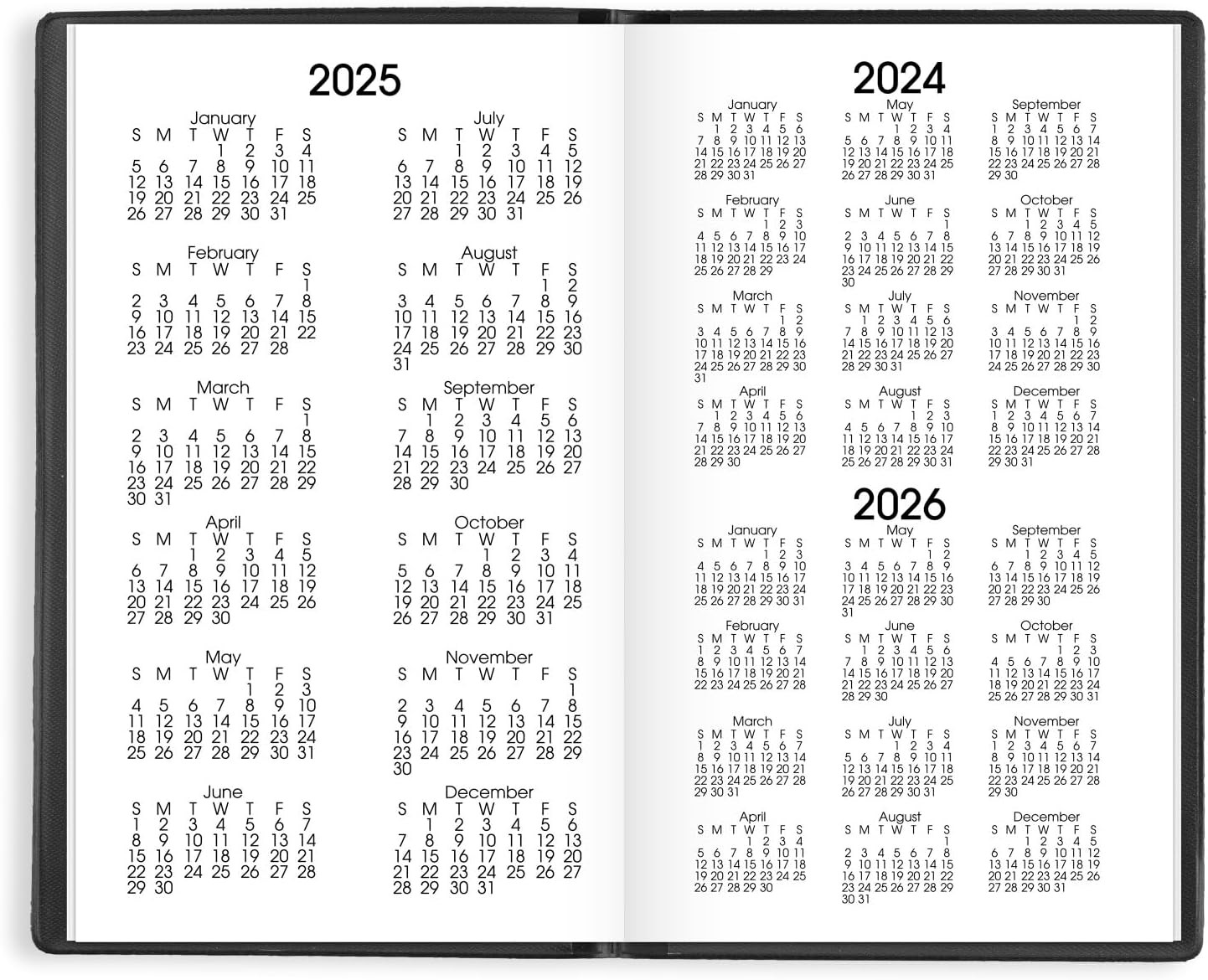 2025 Planner, Monthly, 3-1/2″ X 6″, Pocket Size, Dayminder, Black (SK530025)