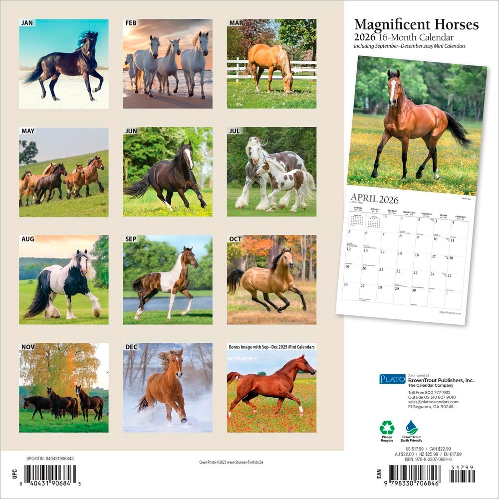 Magnificent Horses | 2026 12×24″ (Hanging) Monthly Square Wall Calendar