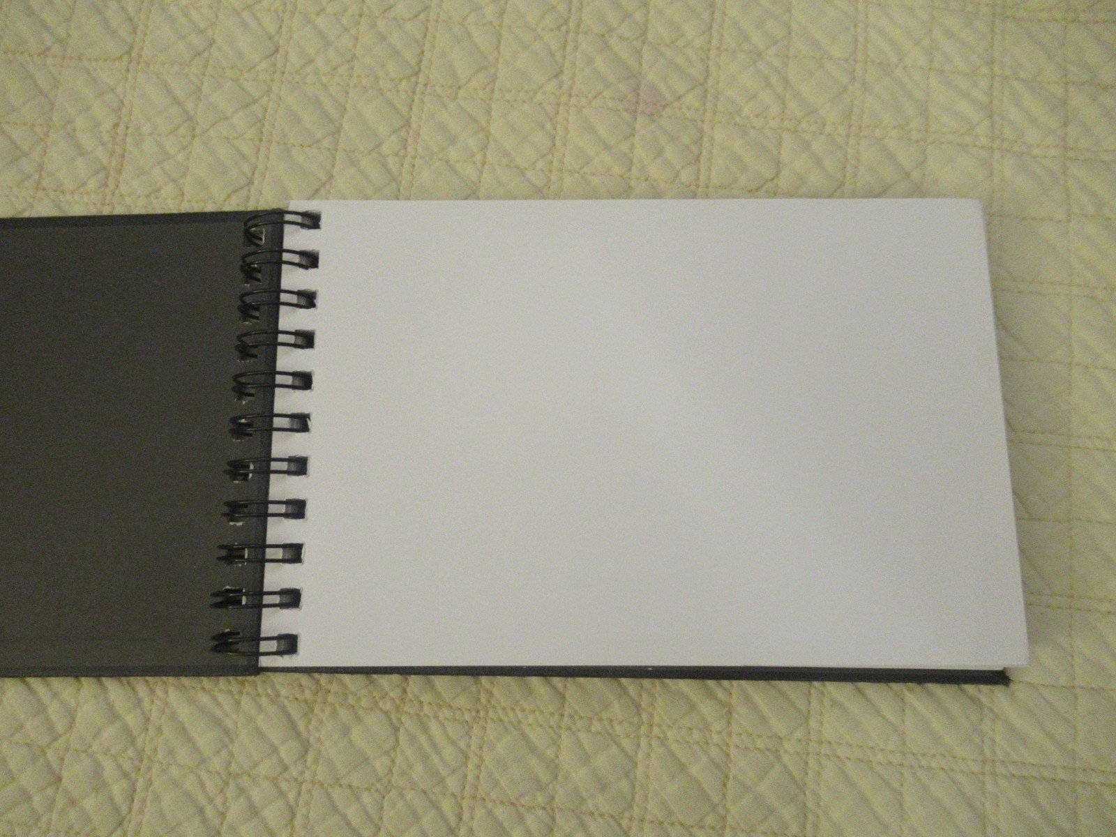 Piccadilly Spiral-Bound Sketchbook (8.5 x 5.5) (Black) (Acid-Free Paper)