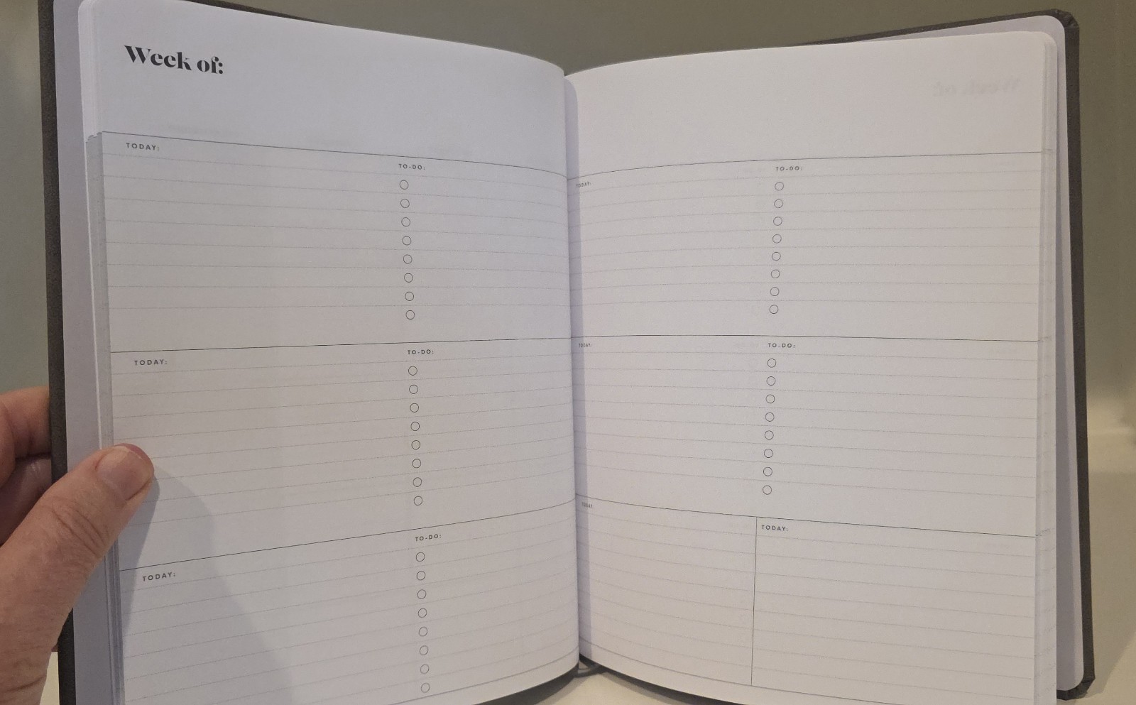 Lot: Everygirl open-dated Planner, Self-Care Notes, BlueSky Notes – Very Good