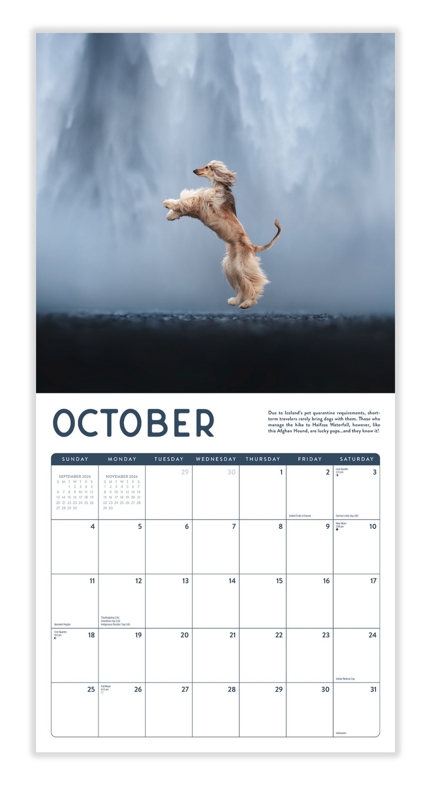 Dog Calendar 2026 | 12″ x 24″ 12 Month Calendar | Marble City Press