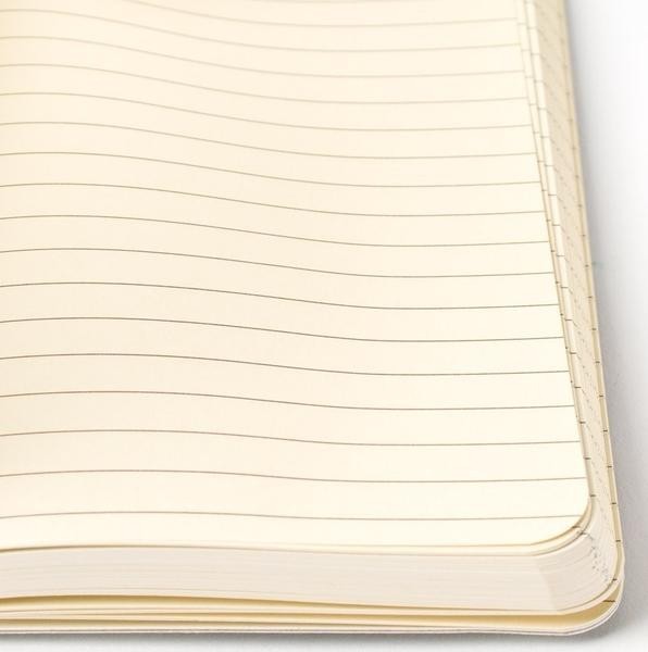 Cavallini & Co. Citrus Large Notebook with elastic closure